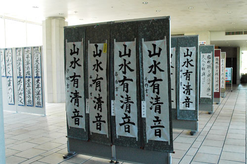 展示のようす