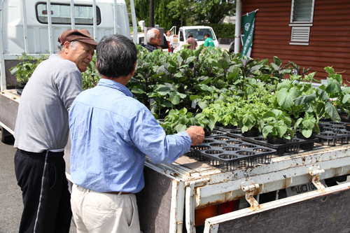 外では草花や作物の苗の販売が行われた