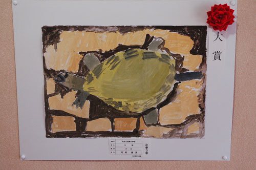 河村くんの作品「かめ」
