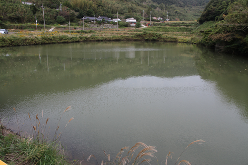 河原5ため池のようす