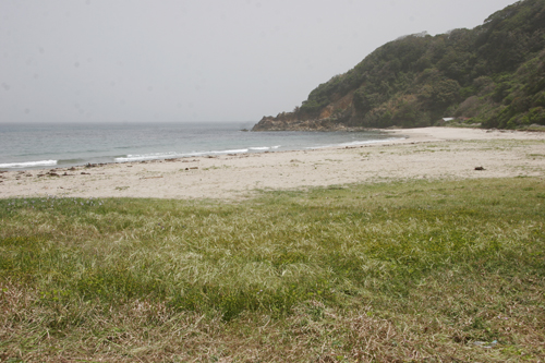 きれいな砂浜が甦りました
