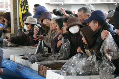 新鮮な魚が並びます