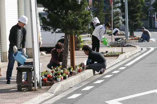 植え替えの様子