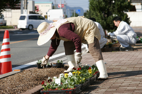 植え替えの様子