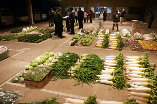 とれたての野菜が出荷される