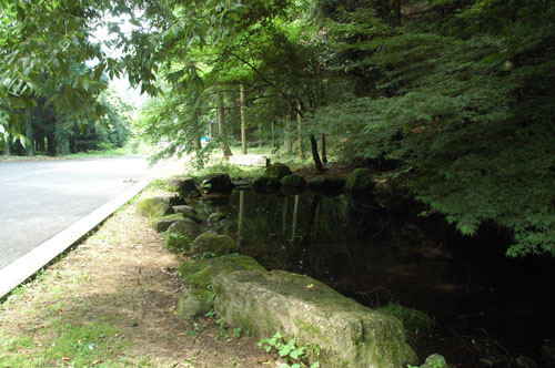出水川砂防公園の中の池