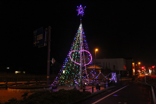 今年もクリスマスツリーイルミネーションがこの日から点灯された
