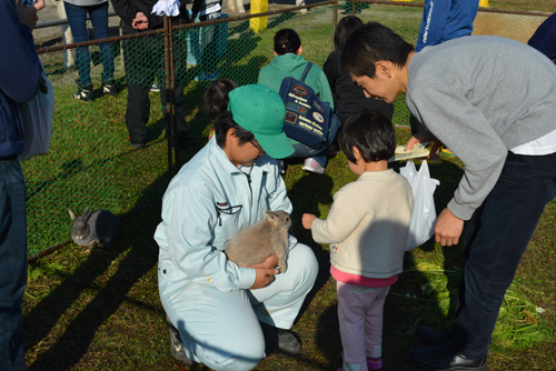 動物とふれあえるコーナーは子どもに人気