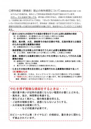 チラシ裏