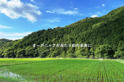 トップ画像
