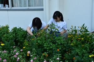 菱中タイム２