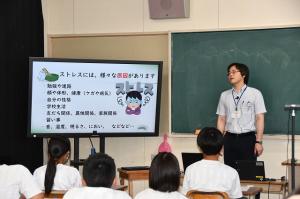 ストレスとは