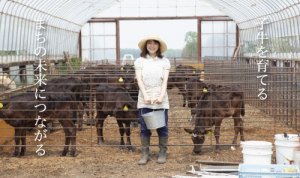 wagyu