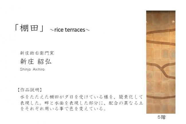 ５F　胸壁