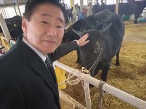 共進会激励時の市長と牛