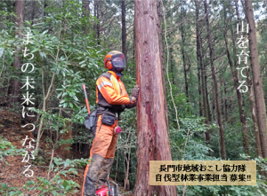 自伐型林業事業画像