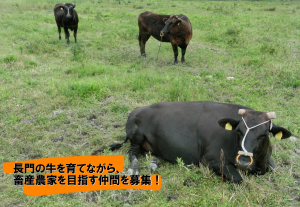 和牛振興事業画像