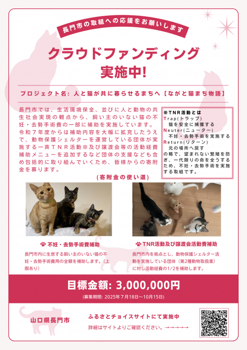 チラシ