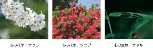 市の花木・生物