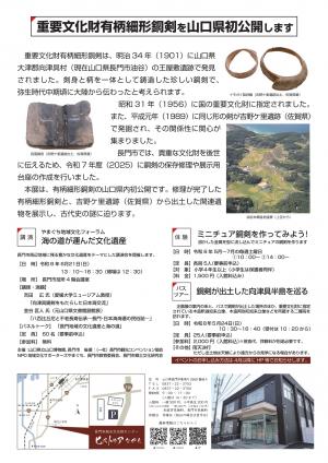 向国の有柄細形銅剣チラシ2