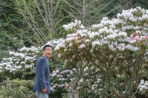 市長しゃくなげお花見