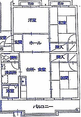平面図