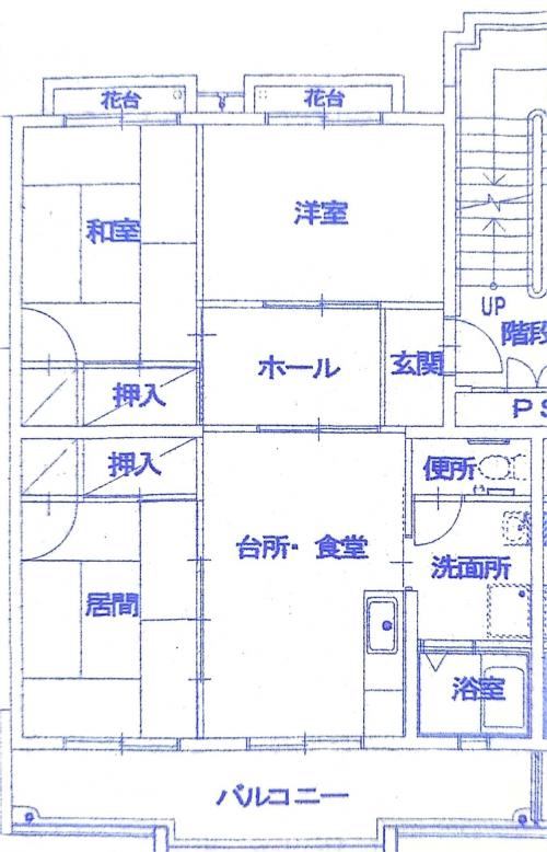 平面図