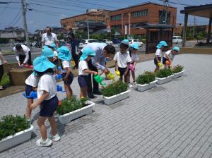 お花への水やり