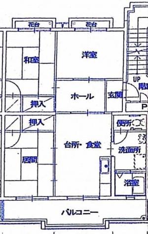 平面図