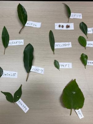 葉