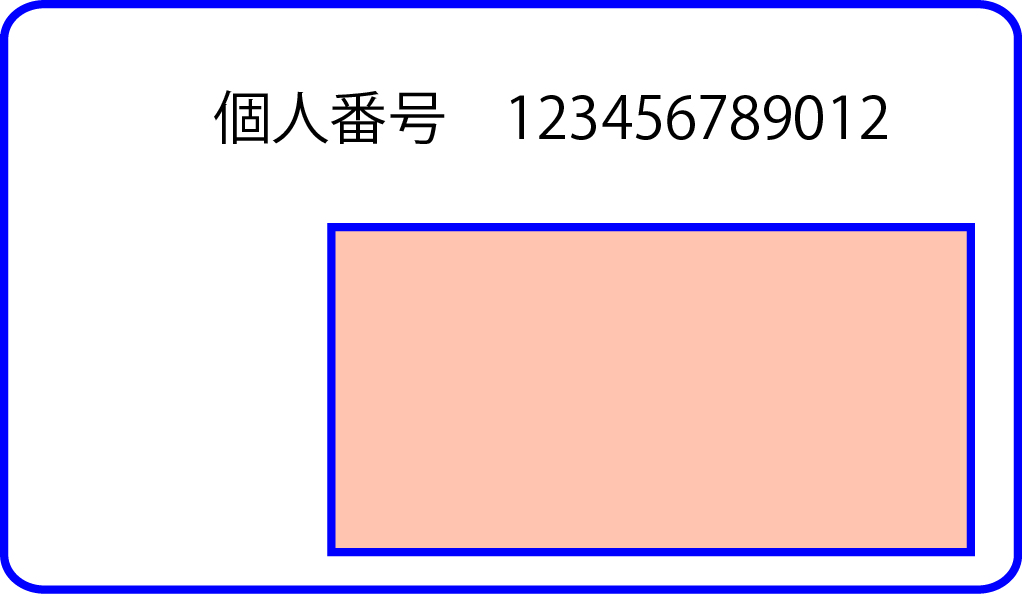 個人番号カード裏面