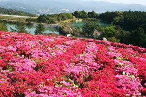 菅無田公園