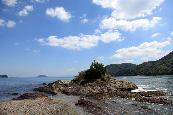 松島海水浴場　画像6