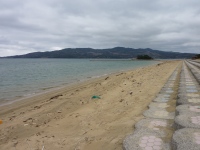 伊上海浜公園YYビーチ350-1