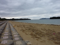 伊上海浜公園YYビーチ350-3
