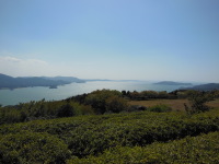 妙見山展望公園1