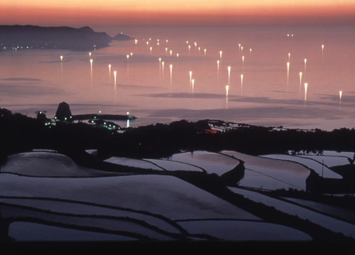 東後畑棚田