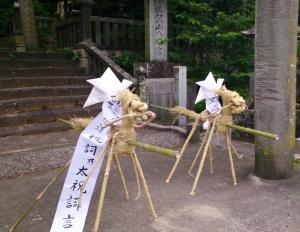 北浦地方のサバー送り２