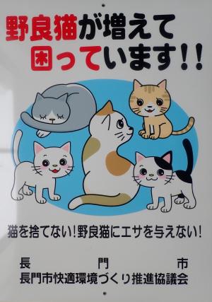 看板