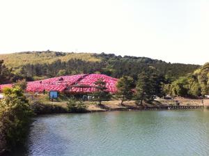 菅無田公園