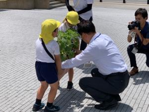 園児からひまわりをプレゼントされる市長