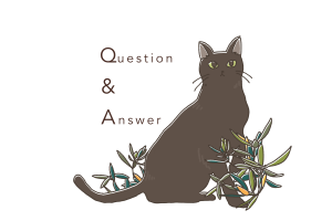 Q&A