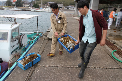 漁船に積み込む