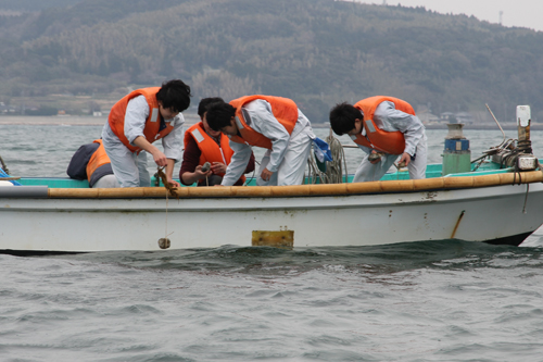 大津緑洋高校水産校舎の生徒が海に投入