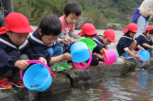 「三隅に帰ってきてね」と願いを込め、放流