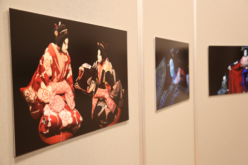 7年間文楽の写真を撮り続けているフォトグラファー、渡邉肇さんの作品約40点が展示