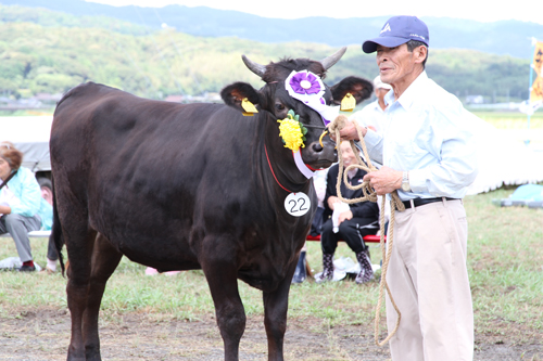 グランドチャンピオン賞に輝いた若牛二区の「まなみ」と花岡久雄さん