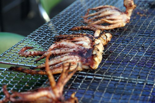 当日は焼きイカが無料でふるまわれた