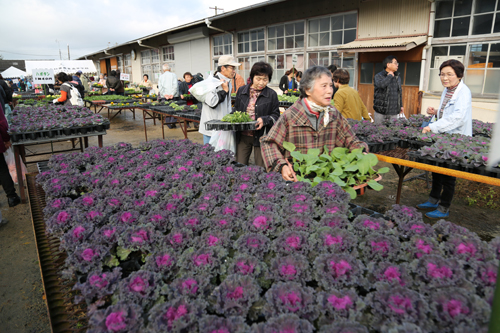 草花やタマネギの苗も人気を集めた