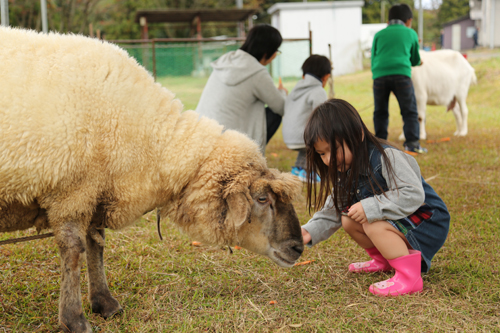 動物とのふれあいを楽しむ子どもたち